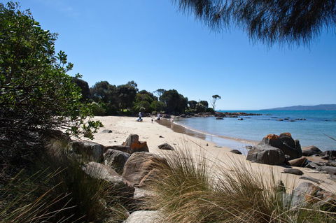 Pearl Hawley Beach - Accommodation Port Macquarie 35