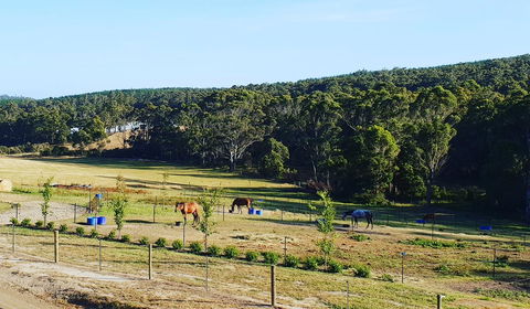 Lockleigh Park - Accommodation Port Macquarie 19
