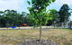 Lockleigh Park - thumb 5
