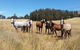 Lockleigh Park - thumb 28