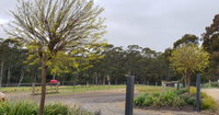 Book Lebrina Accommodation Vacations Accommodation Port Macquarie Accommodation Port Macquarie