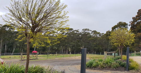 Lockleigh Park - Accommodation Port Macquarie 0