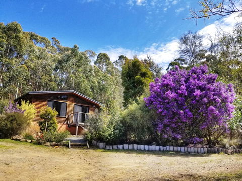 Southern Forest Accommodation - Accommodation Port Macquarie 10