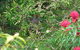 Southern Forest Accommodation - thumb 12