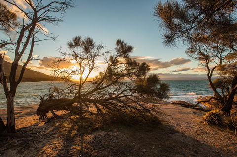 Freycinet Lodge - Accommodation Port Macquarie 44