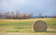 Ratho Farm - thumb 15