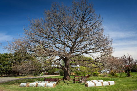Ratho Farm - Accommodation Port Macquarie 8