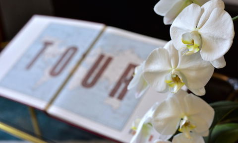 Lotus Gogh Apartment - Accommodation Port Macquarie 6