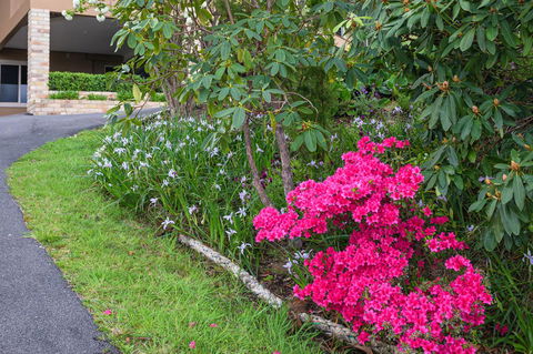 Maria Views Bed & Breakfast - Accommodation Port Macquarie 2