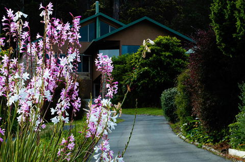 Maria Views Bed & Breakfast - Accommodation Port Macquarie 6