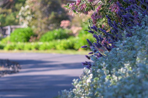 Maria Views Bed & Breakfast - Accommodation Port Macquarie 3