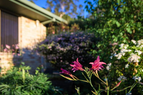Maria Views Bed & Breakfast - Accommodation Port Macquarie 4