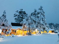 Book Cradle Mountain Accommodation Vacations Accommodation Port Macquarie Accommodation Port Macquarie