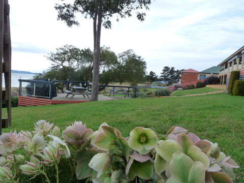 Swansea Motor Inn Tasmania - Accommodation Port Macquarie 17