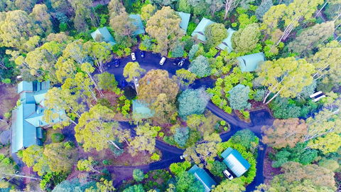 Lemonthyme Wilderness Retreat - Accommodation Port Macquarie 1