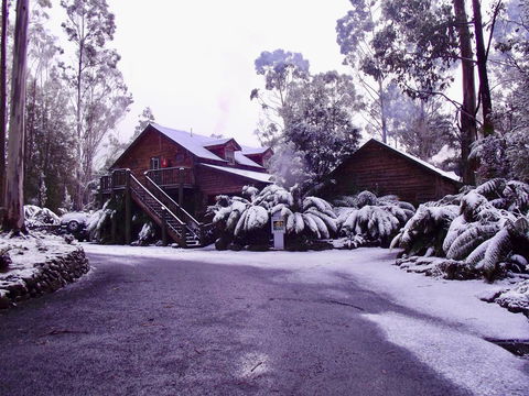 Lemonthyme Wilderness Retreat - Accommodation Port Macquarie 12