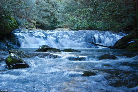 Lemonthyme Wilderness Retreat - Accommodation Port Macquarie 10