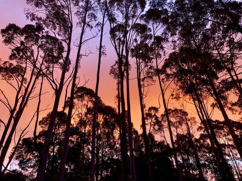 Lemonthyme Wilderness Retreat - Accommodation Port Macquarie 8