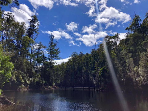 Lemonthyme Wilderness Retreat - Accommodation Port Macquarie 7
