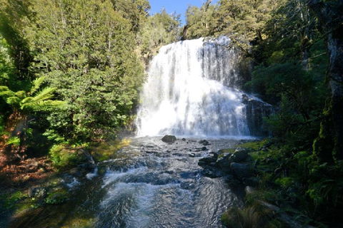 Lemonthyme Wilderness Retreat - Accommodation Port Macquarie 19