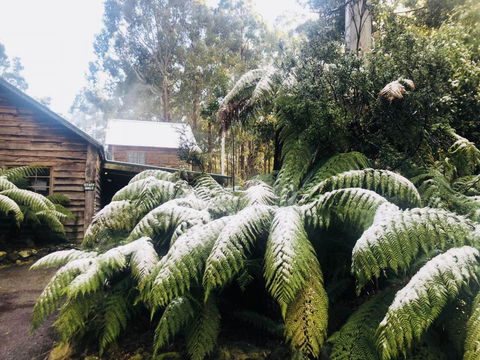 Lemonthyme Wilderness Retreat - Accommodation Port Macquarie 5