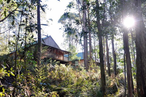 Lemonthyme Wilderness Retreat - Accommodation Port Macquarie 25