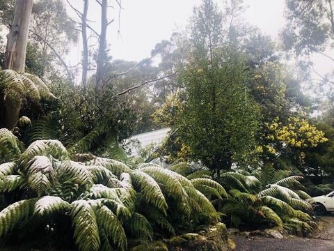 Lemonthyme Wilderness Retreat - Accommodation Port Macquarie 16