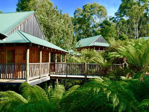 Lemonthyme Wilderness Retreat - Accommodation Port Macquarie 11