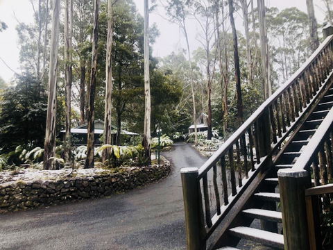Lemonthyme Wilderness Retreat - Accommodation Port Macquarie 15