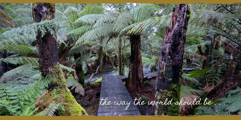 Lemonthyme Wilderness Retreat - Accommodation Port Macquarie 17