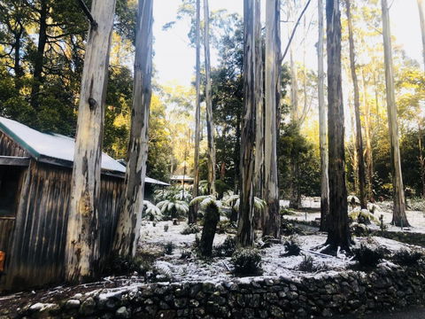 Lemonthyme Wilderness Retreat - Accommodation Port Macquarie 6