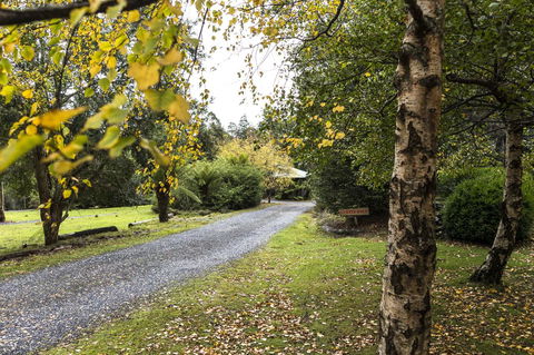 Cradle Forest Inn - Accommodation Port Macquarie 36