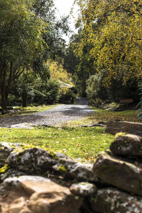 Cradle Forest Inn - Accommodation Port Macquarie 34
