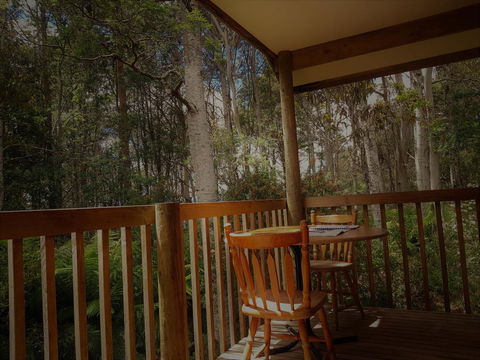 Cradle Forest Inn - Accommodation Port Macquarie 2