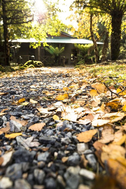 Cradle Forest Inn - Accommodation Port Macquarie 35