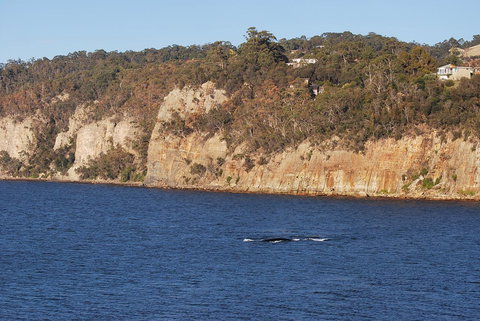 Beachside Taroona With Spa - Accommodation Port Macquarie 29