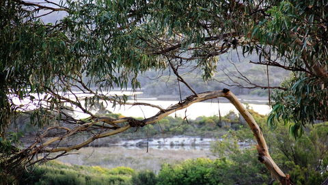KINGFISHER COTTAGE Beachfront At The Binalong Bay - Accommodation Port Macquarie 17