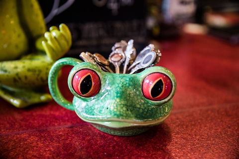 The Pickled Frog - Accommodation Port Macquarie 13