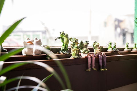 The Pickled Frog - Accommodation Port Macquarie 12