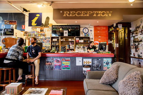 The Pickled Frog - Accommodation Port Macquarie 0