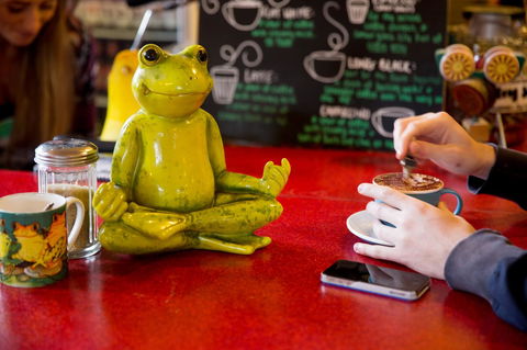 The Pickled Frog - Accommodation Port Macquarie 30