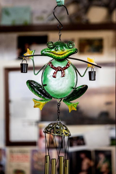 The Pickled Frog - Accommodation Port Macquarie 35