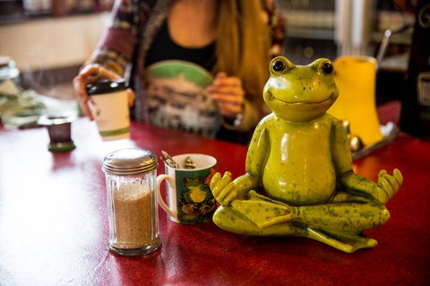 The Pickled Frog - Accommodation Port Macquarie 32