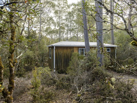 Discovery Parks - Cradle Mountain - Accommodation Port Macquarie 18