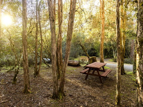 Discovery Parks - Cradle Mountain - Accommodation Port Macquarie 19