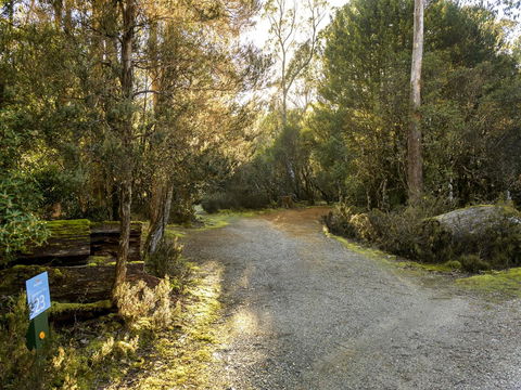 Discovery Parks - Cradle Mountain - Accommodation Port Macquarie 1