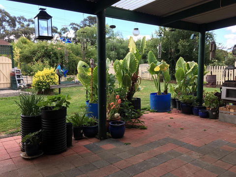 Blue Wren Bungalow - Accommodation Port Macquarie 0