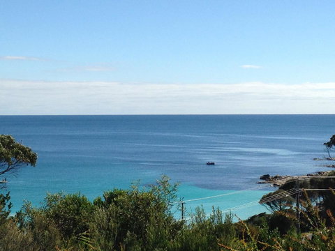 DOLPHIN LOOKOUT COTTAGE - Amazing Views Of The Bay Of Fires - Accommodation Port Macquarie 12