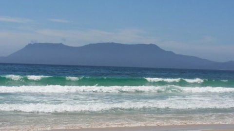 Beezneez B&B - Accommodation Port Macquarie 17