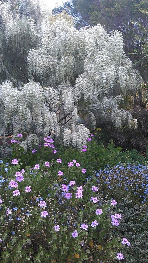 Beezneez B&B - Accommodation Port Macquarie 15